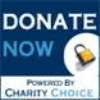 Donate Now logo