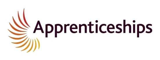 National Apprenticeship Service Logo